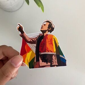3/$20 Harry Styles Pride Vinyl Sticker